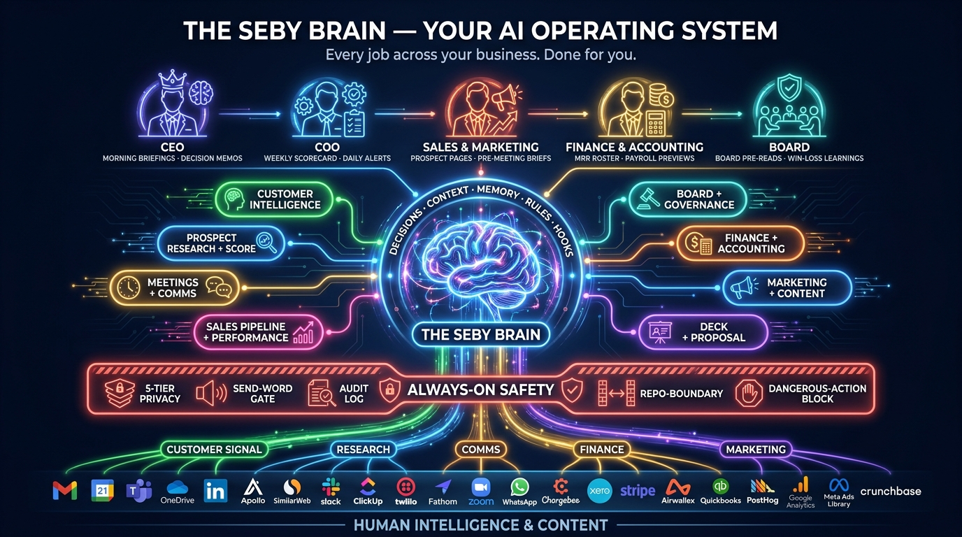 The Seby Brain anatomy